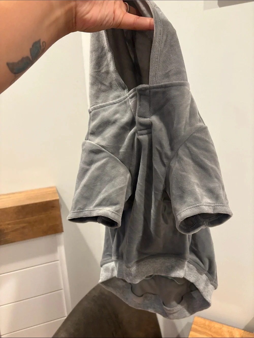 Gray Velour Pet hoodie pants set